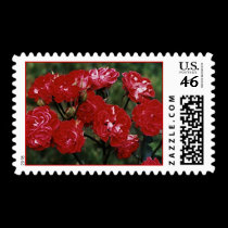 Gorgeous View! postage