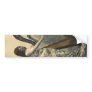 Gorgeous Vintage Woman Harpist Bumper Sticker