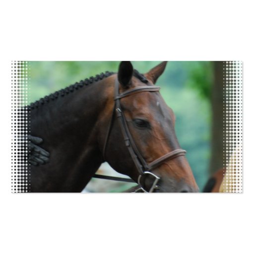 Gorgeous Warmblood Horse Business Card (back side)