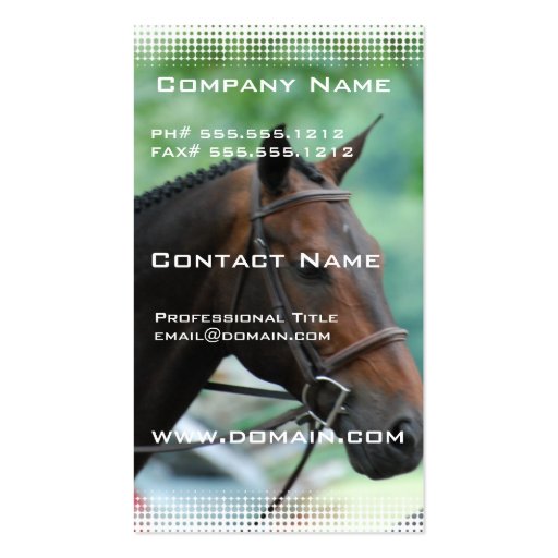 Gorgeous Warmblood Horse Business Card (front side)
