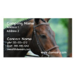 Gorgeous Warmblood Horse Business Card