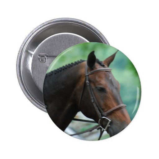 Gorgeous Warmblood Horse Button