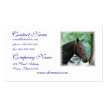 Gorgeous Warmblood Horse Mailing Labels Business Card Templates