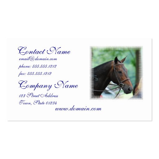 Gorgeous Warmblood Horse Mailing Labels Business Card Templates (front side)