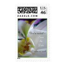 Gorgeous White Orchid Save The Date Postage Stamps