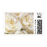Gorgeous white rose RSVP Postage stamp
