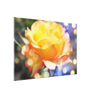 Gorgeous yellow rose flower.  Floral photography Gallery Wrap Canvas