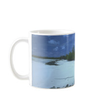 Gorgosaurus mugs