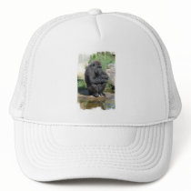 Gorila Sitting Baseball Cap Hat