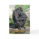 Gorila Sitting Greeting Card