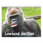 Gorilas de la tierra baja del parque zoológico de  calendarios de pared