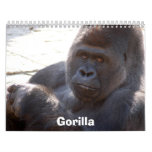 Gorilla_004, gorila calendarios