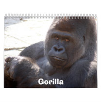 Gorilla_004, Gorilla calendars by NatureByDesign Gorilla_004, Gorilla calendars