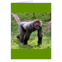 Gorilla #1 cards