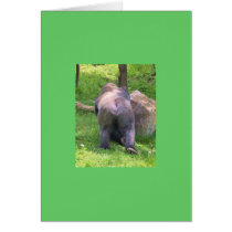 Gorilla #2 cards
