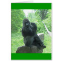 Gorilla #3 cards