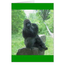 Gorilla #3 cards