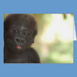 Gorilla Baby Blank Note Card cards