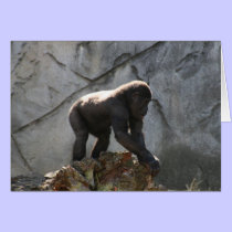 gorilla baby cards