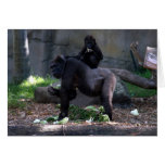 gorilla back card