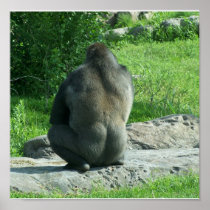 gorilla backside poster