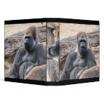 gorilla binders