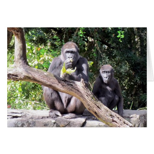 Gorilla Birthday Card | Zazzle