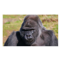 Gorilla Business Card Templates
