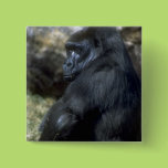 Gorilla Pinback Button