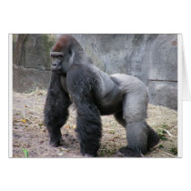 Gorilla cards by dwmander Gorilla cards