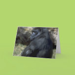 Gorilla Card