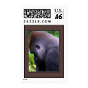 Gorilla Contemplation postage