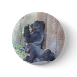 Gorilla Family buttons