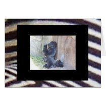 Gorilla Family cards