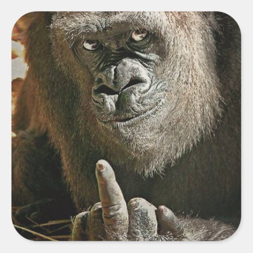 gorilla_finger_sticker-r2da3e881de9f42d298c0eeecfca328f6_v9i40_8byvr_512.jpg