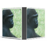 Gorilla Gaze Binder