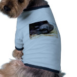 Gorilla Gaze Pet Shirt