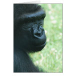 Gorilla Gaze Greeting Card