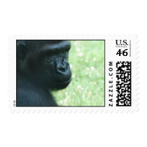Gorilla Gaze Postage Stamp