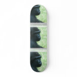 Gorilla Gaze Skateboard