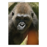 Gorilla Greeting Card