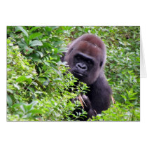 Gorilla Greeting Card cards