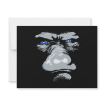 Gorilla in White Announcement