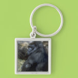 Gorilla Key Chains