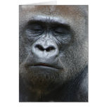 Gorilla Look Greeting Card