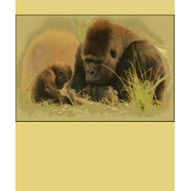 Gorilla Love t-shirts