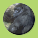 Gorilla Fridge Magnet