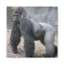 Gorilla magnets