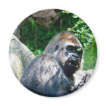Gorilla Fridge Magnets