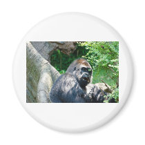 Gorilla Refrigerator Magnet